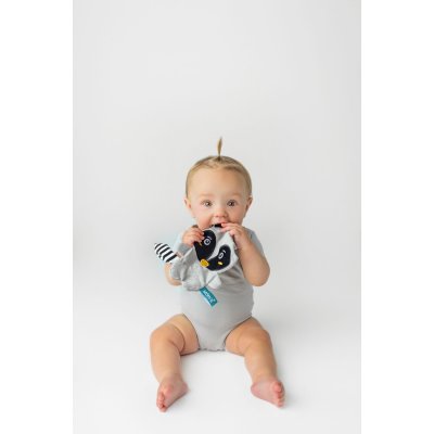 Moms Care Šustící muchláček - Mýval Pedro - obrázek