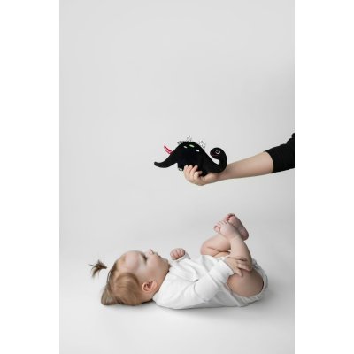 Moms Care Šustící muchláček Dinosaurus - White & Black - obrázek