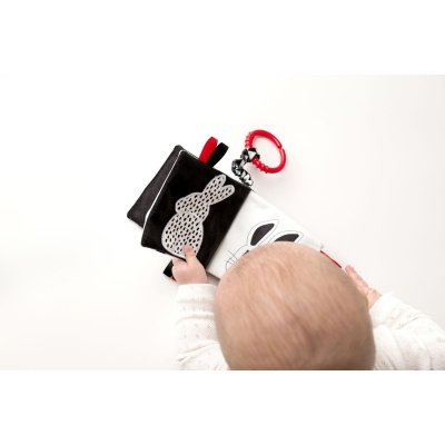 Moms Care Textilní knížka - „Kdo je to? Co je to?“ - obrázek