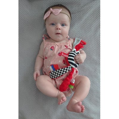 Moms Care Muchláček se zrcátkem - Červený - obrázek