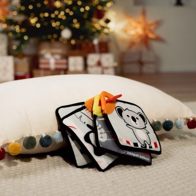 Canpol Senzorické karty BabiesBoo