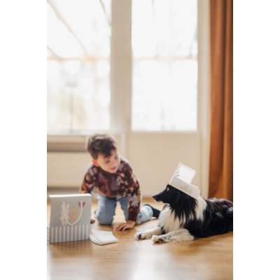 JaBaDaBaDo Set pro veterináře - obrázek