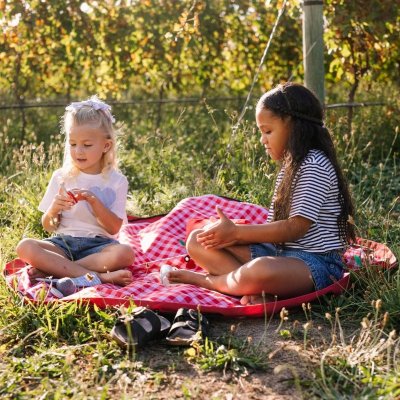 Play & Go Noomad Outdoor Hrací deka/Vak na hračky - Pic Nic - obrázek