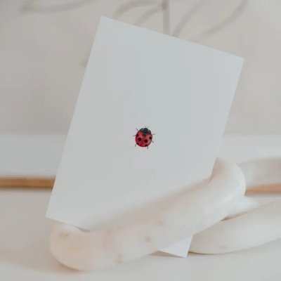 Eulenschnitt Přáníčko Watercolor - Ladybug
