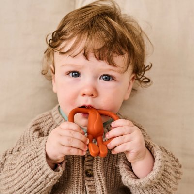 Matchstick Monkey Kousátko a zubní kartáček - Liška Fudge