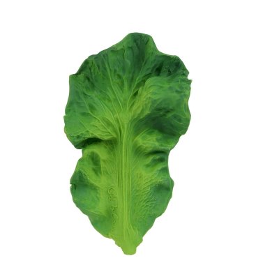 Oli&Carol Kousátko - Kendall the Kale - obrázek