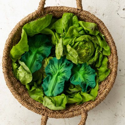 Oli&Carol Kousátko - Kendall the Kale - obrázek