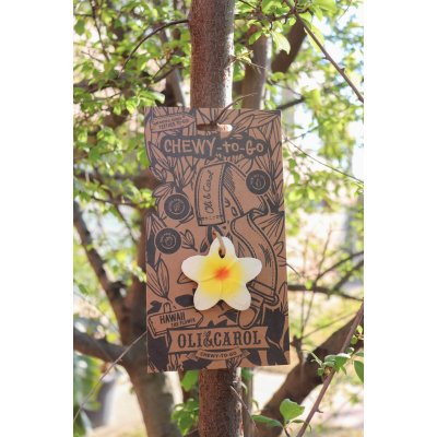 Oli&Carol Mini kousátko - Hawaii the Flower - obrázek