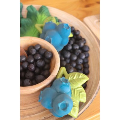 Oli&Carol Kousátko - Jerry the Blueberry - obrázek