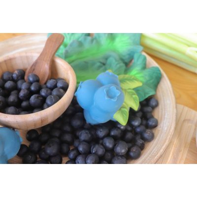 Oli&Carol Kousátko - Jerry the Blueberry - obrázek