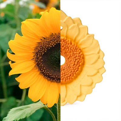 Oli&Carol Kousátko - Sun The Sunflower - obrázek