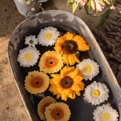 Oli&Carol Kousátko - Sun The Sunflower - obrázek