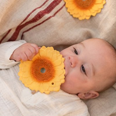 Oli&Carol Kousátko - Sun The Sunflower - obrázek