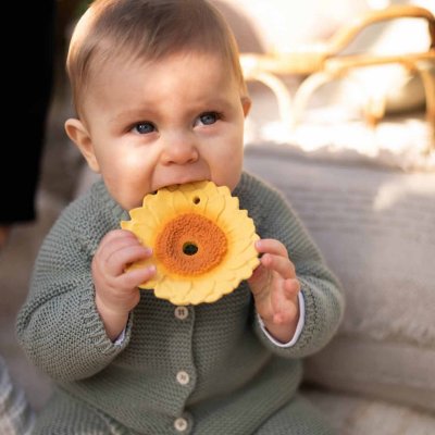 Oli&Carol Kousátko - Sun The Sunflower