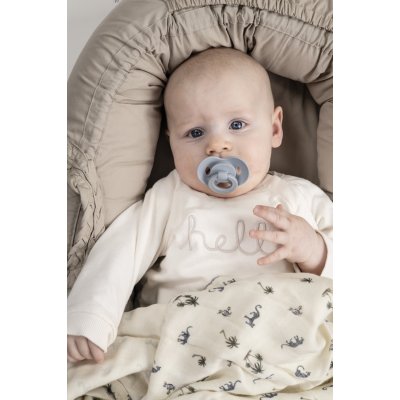 Elodie Details Binkie Bundle Set silikonových dudlíků 3m+ - Blueberry Bliss - obrázek
