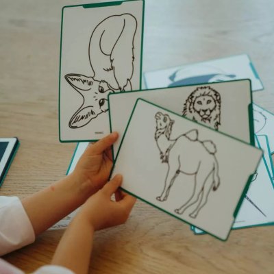 Kidywolf Doplňkové karty Kidydraw Mini - Zvířata celého světa, oceánů a piráti - obrázek