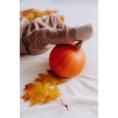Wooly Organic Velurové tepláčky - Rosewood, vel. 62/68 - obrázek