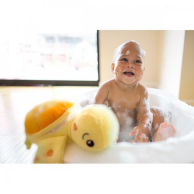 SoapSox zvířátko na mytí - Želva Taylor - obrázek