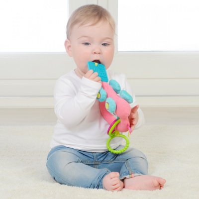 Dolce moje první bugatka - obrázek