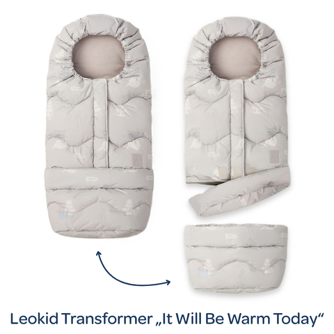 Leokid Fusak Transformer